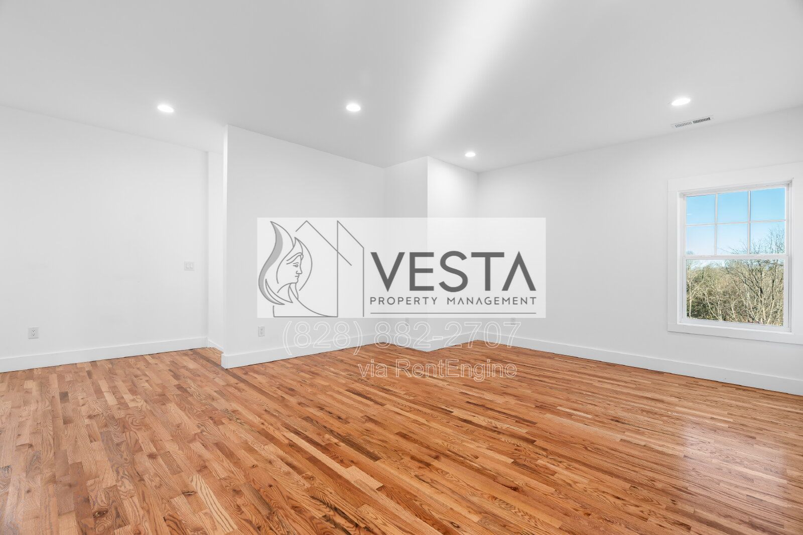 Brand New Luxury 2-Bedroom in West Asheville | 10ft Ceilings property image