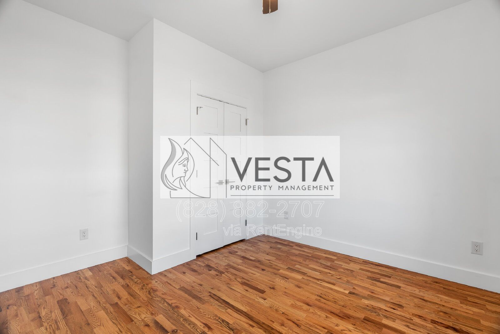 Brand New Luxury 2-Bedroom in West Asheville | 10ft Ceilings property image