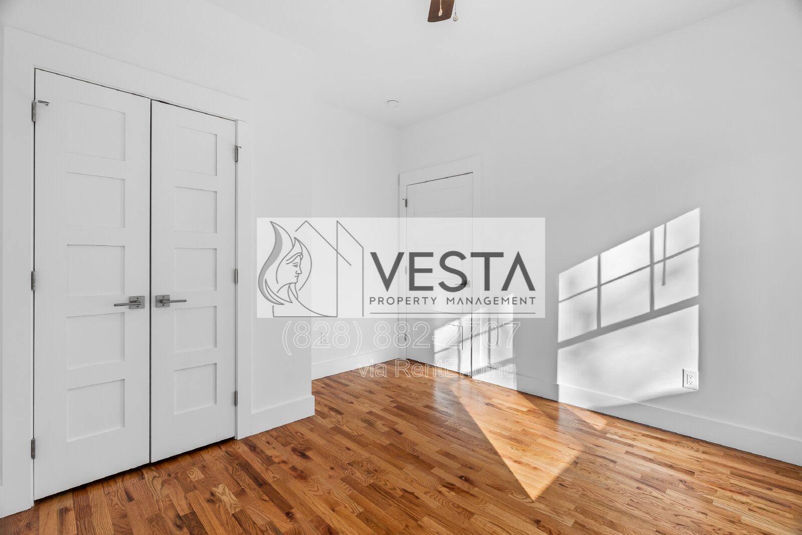 Brand New Luxury 2-Bedroom in West Asheville | 10ft Ceilings property image