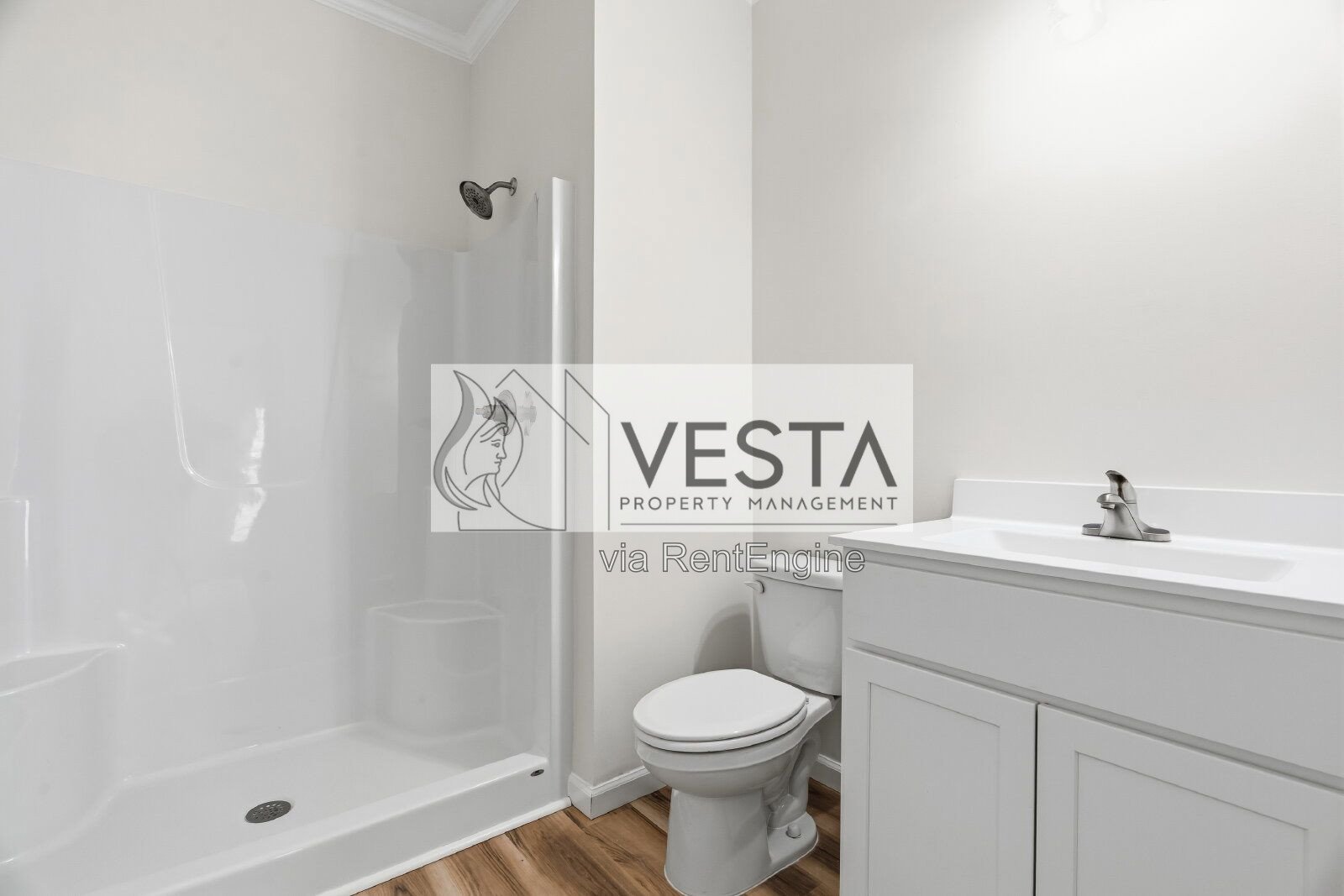 Brand New 2BR Duplex in West Asheville – Modern Design & Large Yard property image