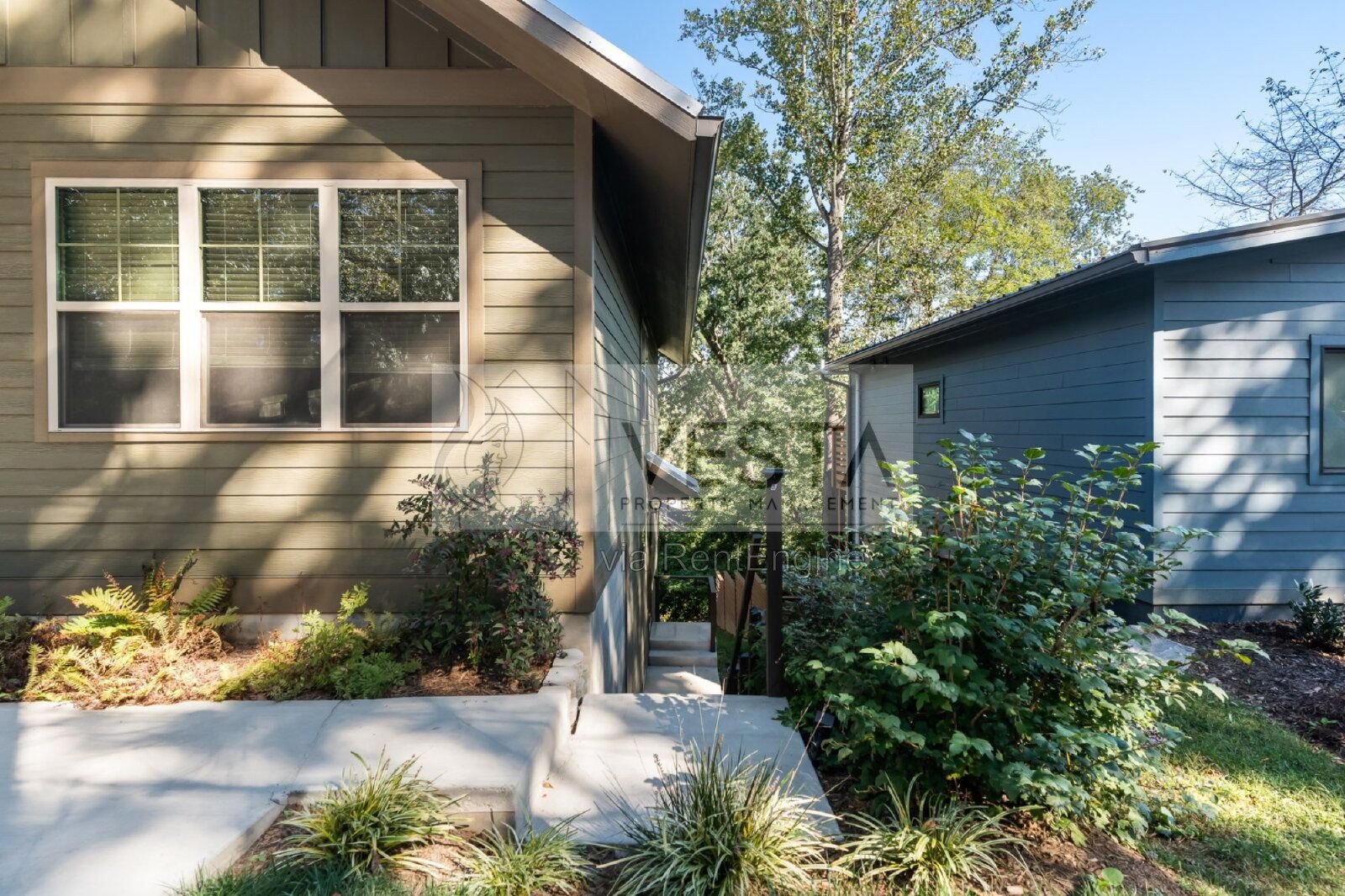 Modern 1BR/1BA Apartment in West Asheville property image