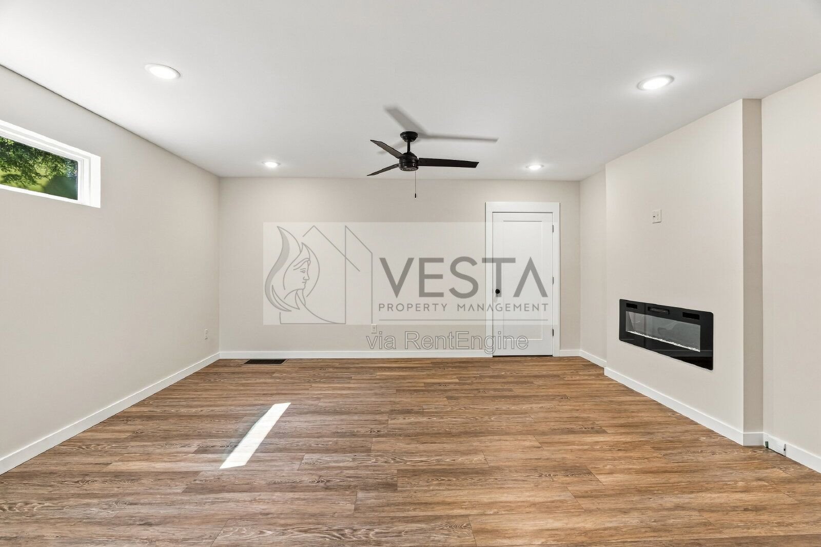 Modern 1BR/1BA Apartment in West Asheville property image