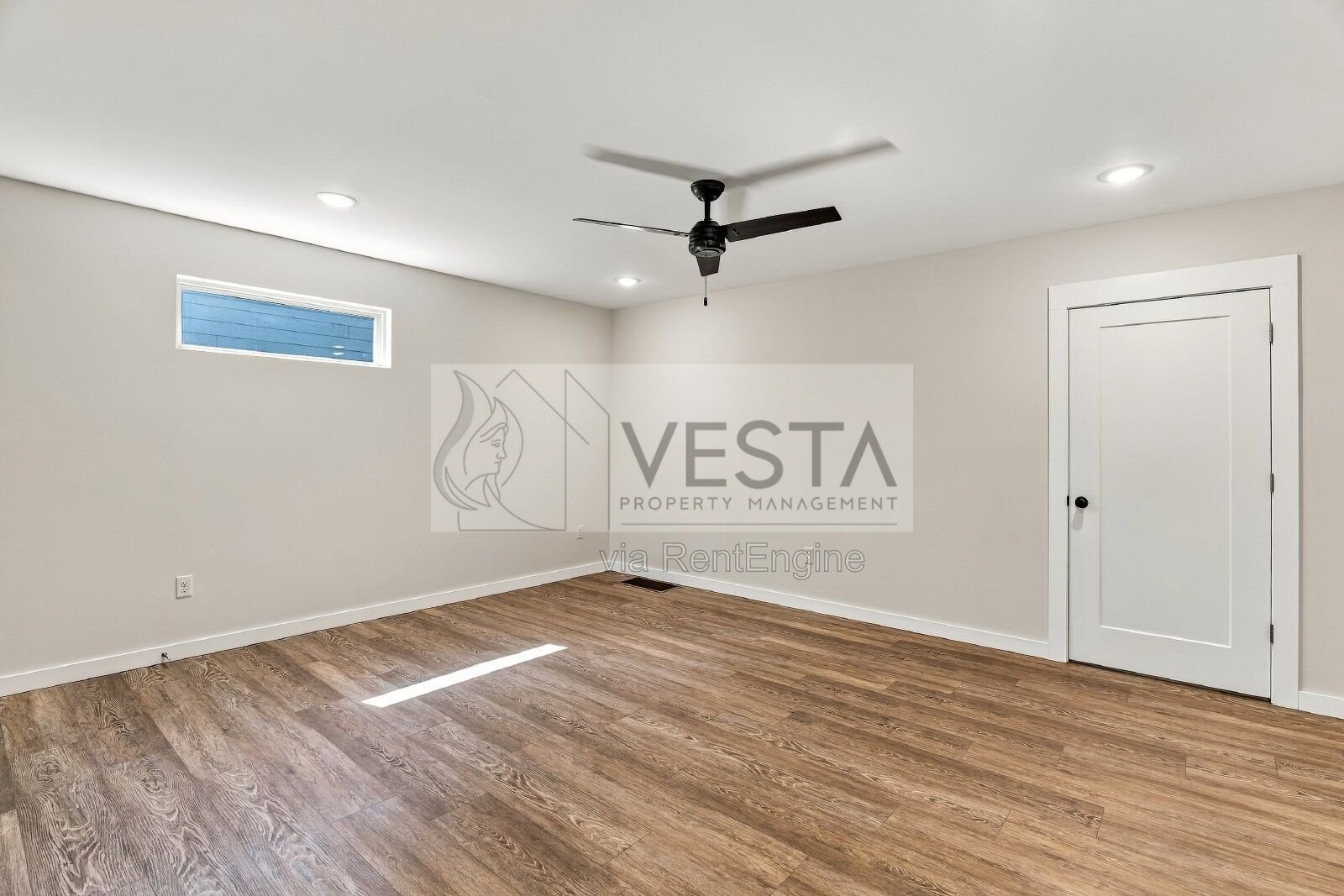 Modern 1BR/1BA Apartment in West Asheville property image