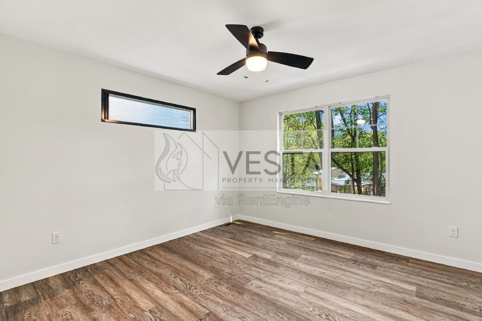 Modern 1BR/1BA Apartment in West Asheville property image