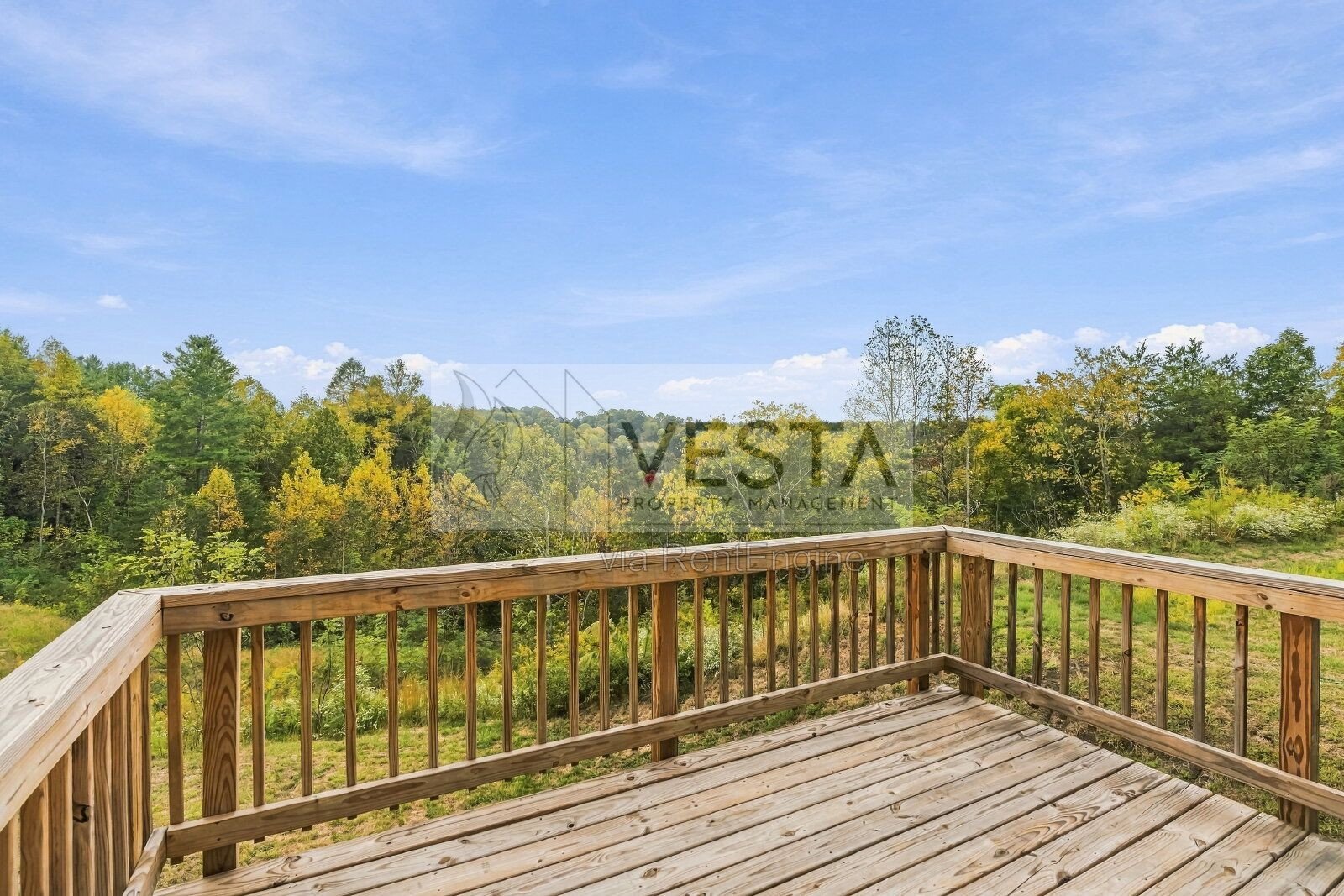 Modern Brand-New 4BR/3BA Home - North Asheville / Weaverville Area property image