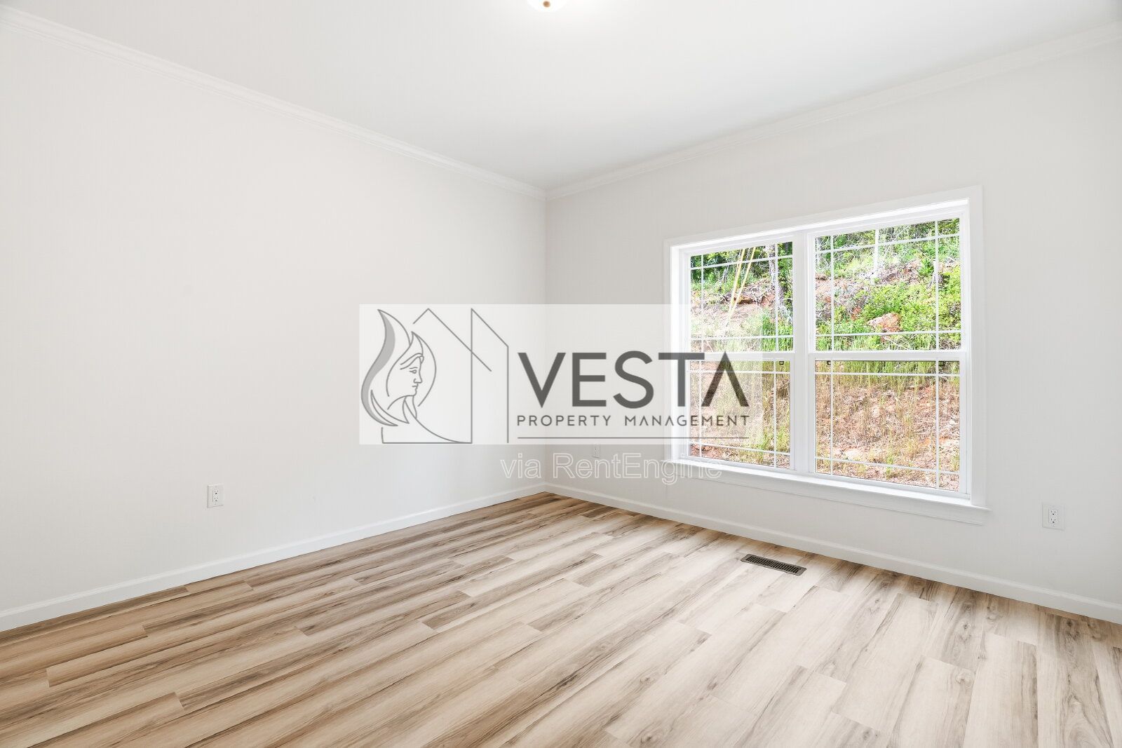 Brand New 3BR West Asheville Duplex – Main Level Primary & Large Green Space property image