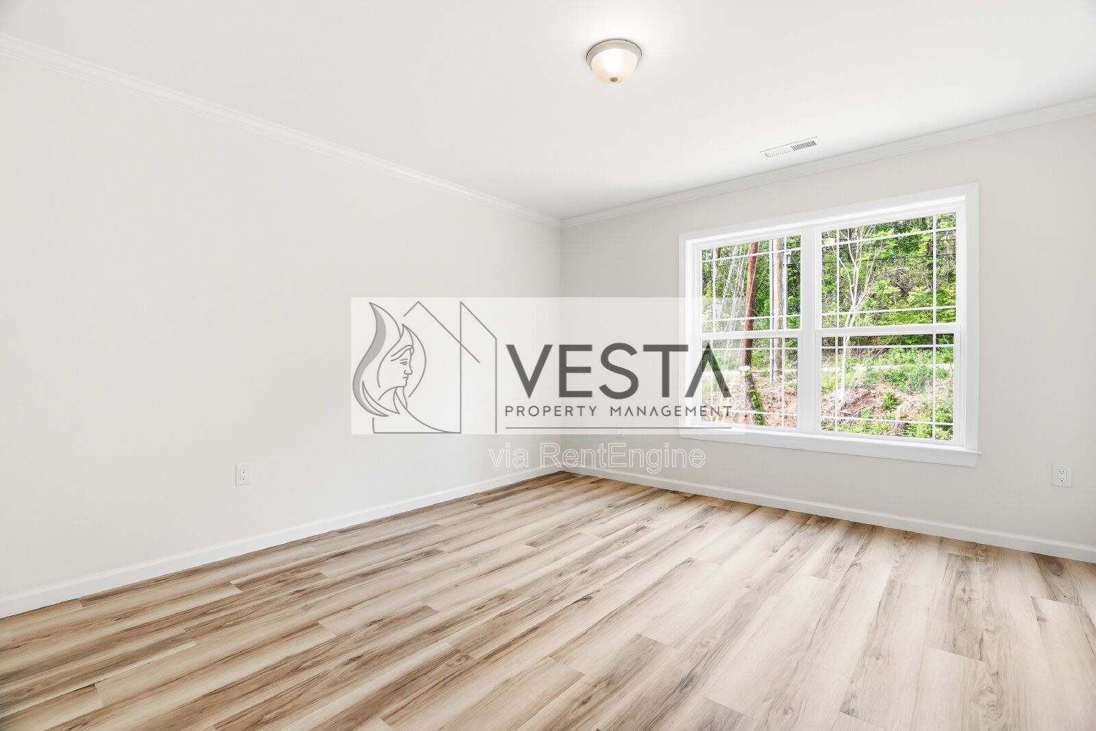 Brand New 3BR West Asheville Duplex – Main Level Primary & Large Green Space property image