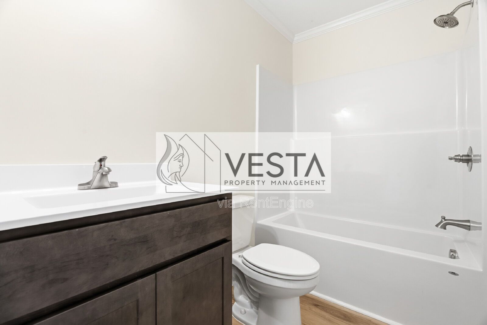 Brand New 3BR West Asheville Duplex – Main Level Primary & Large Green Space property image