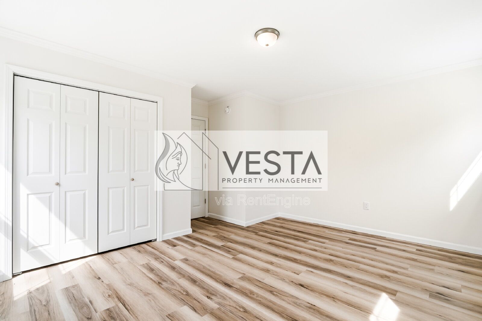 Brand New 3BR West Asheville Duplex – Main Level Primary & Large Green Space property image
