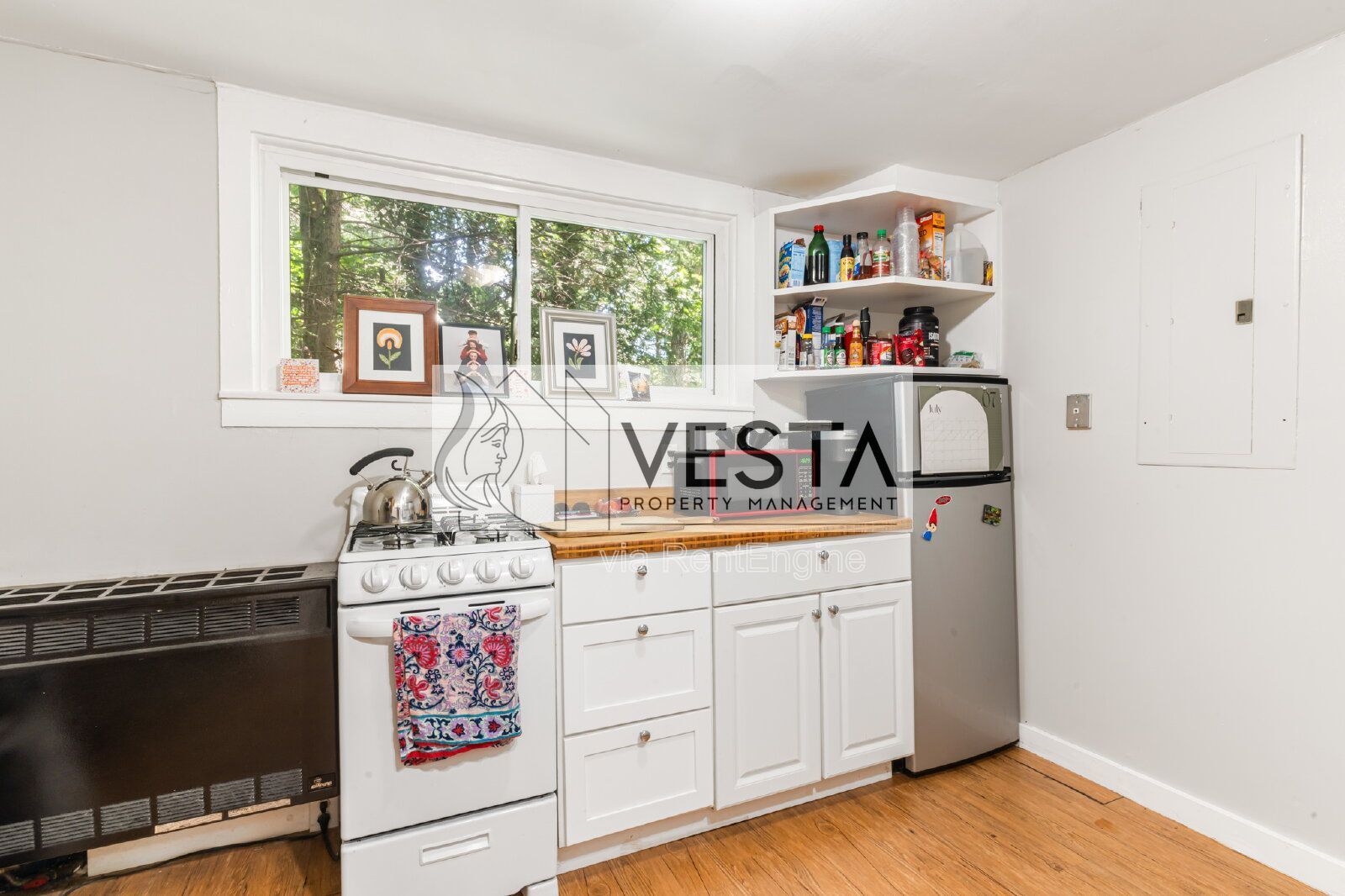 Charming 1BR/1BA Tiny Cottage in North Asheville - Private & Pet-Friendly property image
