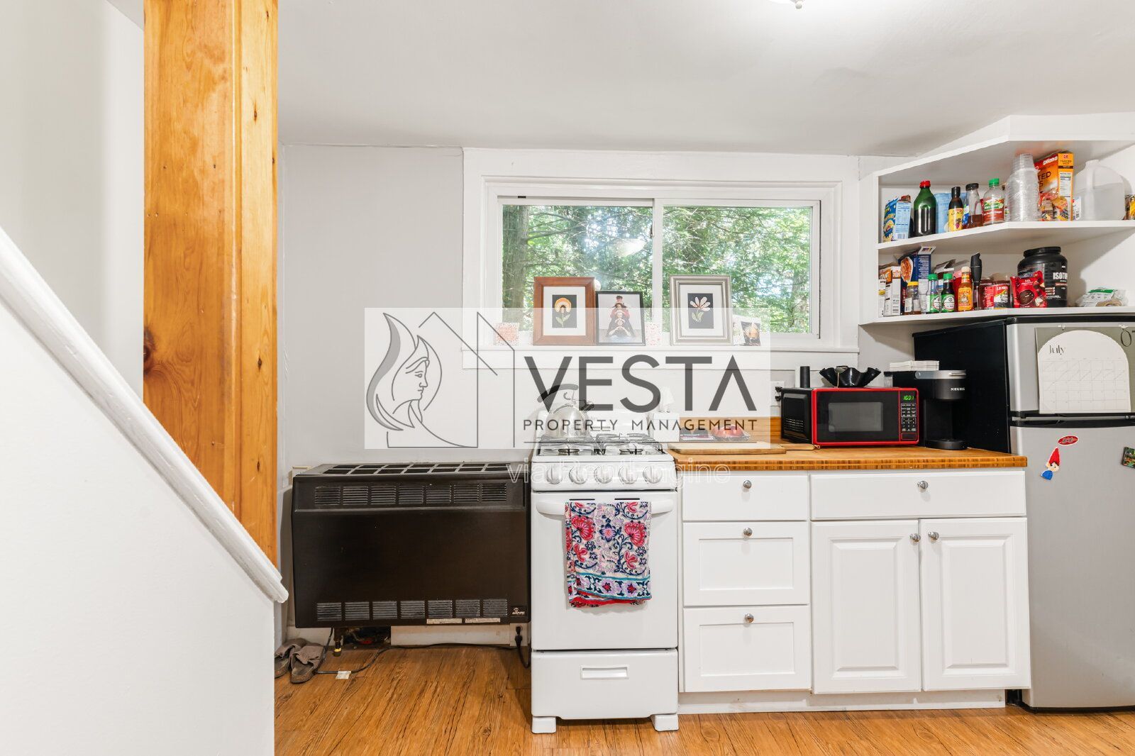 Charming 1BR/1BA Tiny Cottage in North Asheville - Private & Pet-Friendly property image