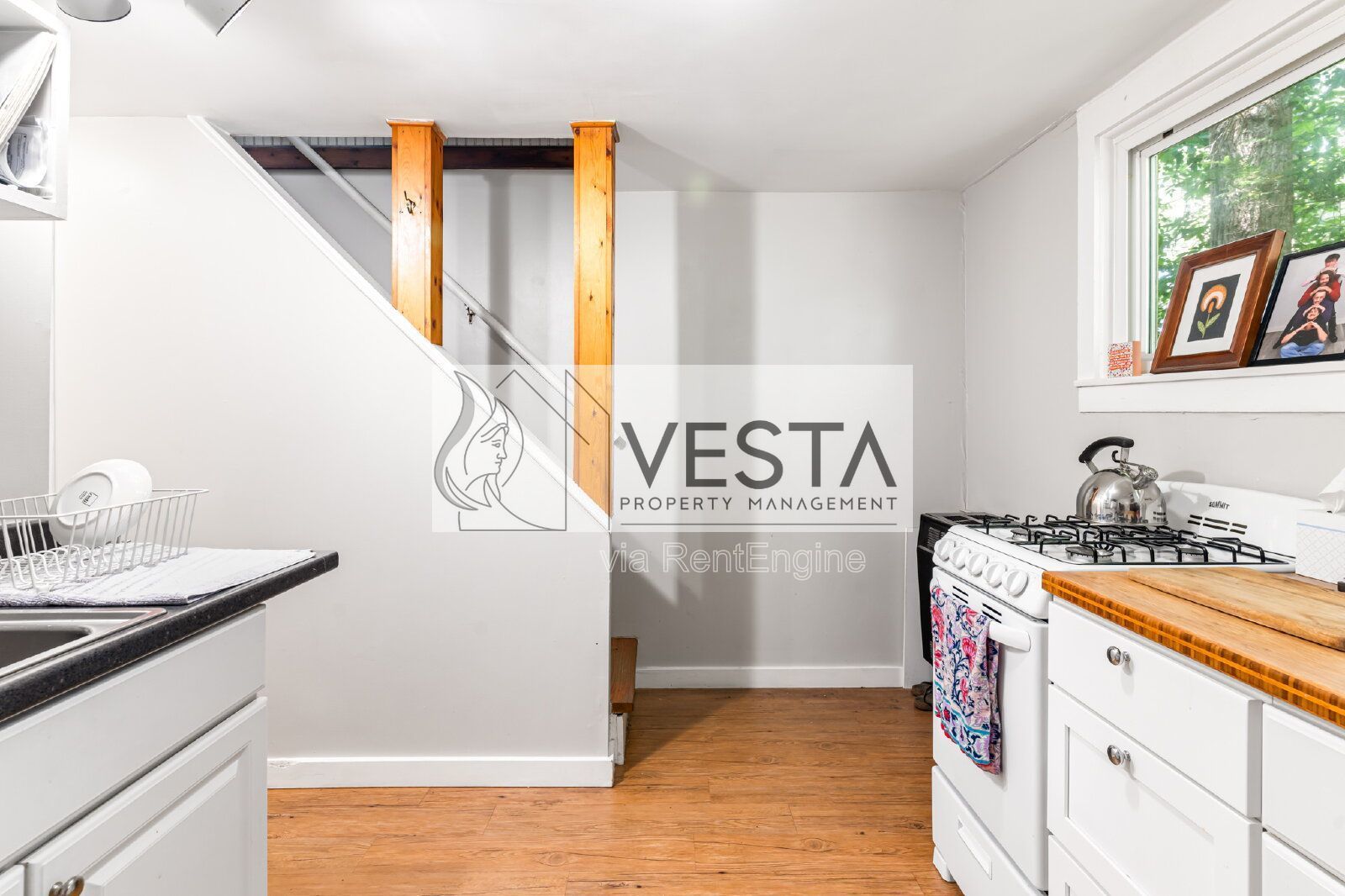 Charming 1BR/1BA Tiny Cottage in North Asheville - Private & Pet-Friendly property image